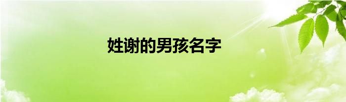姓謝的男孩名字