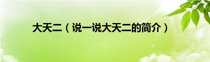 大天二（說一說大天二的簡介）
