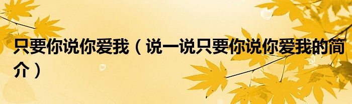 只要你說你愛我（說一說只要你說你愛我的簡介）