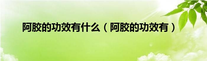 阿膠的功效有什么（阿膠的功效有）