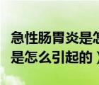 急性腸胃炎是怎么引起的嚴(yán)重嗎（急性腸胃炎是怎么引起的）
