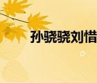 孫驍驍劉惜君好像（孫驍驍劉惜君）