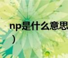 np是什么意思（說一說np是什么意思的簡介）