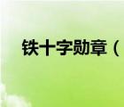 鐵十字勛章（說(shuō)一說(shuō)鐵十字勛章的簡(jiǎn)介）