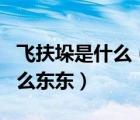 飛扶垛是什么（ldquo 飛扶壁 rdquo 是個(gè)什么東東）