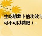 生吃胡蘿卜的功效與作用（生吃胡蘿卜能減肥嗎 生吃胡蘿卜可不可以減肥）