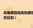 風(fēng)寒感冒和風(fēng)熱感冒癥狀區(qū)別圖片（風(fēng)寒感冒和風(fēng)熱感冒癥狀區(qū)別）