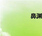 鼻淵片成分（鼻淵片）