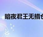 暗夜君王無(wú)措倉(cāng)惶小說(shuō)（無(wú)赦之暗夜君王）