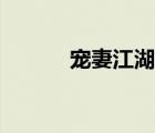 寵妻江湖路小說(shuō)（寵妻江湖路）