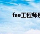 fae工程師是做什么的（fae工程師）