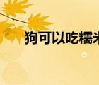 狗可以吃糯米嗎（吃糯米可以減肥嗎）