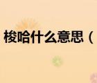 梭哈什么意思（說(shuō)一說(shuō)梭哈什么意思的簡(jiǎn)介）