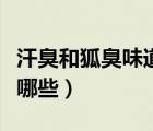 汗臭和狐臭味道相似嗎（汗臭和狐臭的區(qū)別有哪些）