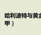 哈利波特與黃金甲哈利赫敏（哈利波特與黃金甲）