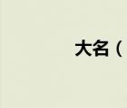 大名（說一說大名的簡介）