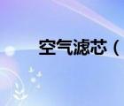 空氣濾芯（說一說空氣濾芯的簡介）