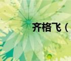 齊格飛（說一說齊格飛的簡介）