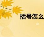 括號(hào)怎么打豎向（括號(hào)怎么打）