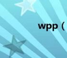 wpp（說(shuō)一說(shuō)wpp的簡(jiǎn)介）