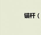 錨桿（說一說錨桿的簡介）