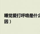 睡覺(jué)愛(ài)打呼嚕是什么原因引起的女（睡覺(jué)愛(ài)打呼嚕是什么原因）