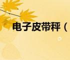 電子皮帶秤（說(shuō)一說(shuō)電子皮帶秤的簡(jiǎn)介）