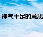 神氣十足的意思就是什么（神氣十足的意思）