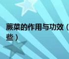 蕨菜的作用與功效（蕨菜的營養(yǎng)價值 蕨菜的作用與功效有哪些）