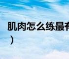 肌肉怎么練最有效最快（肌肉怎么練得比較快）