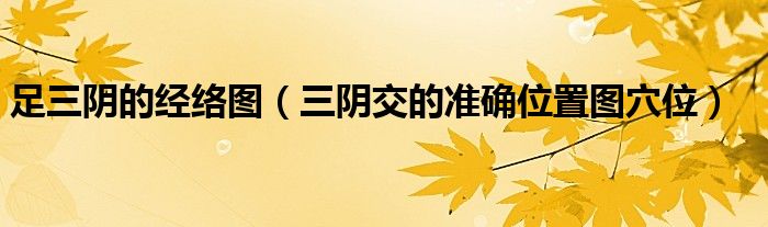 足三陰的經(jīng)絡(luò)圖（三陰交的準(zhǔn)確位置圖穴位）