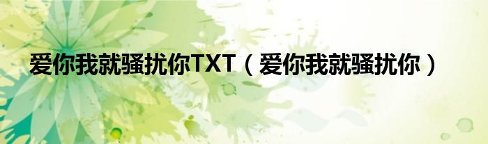 愛你我就騷擾你TXT（愛你我就騷擾你）