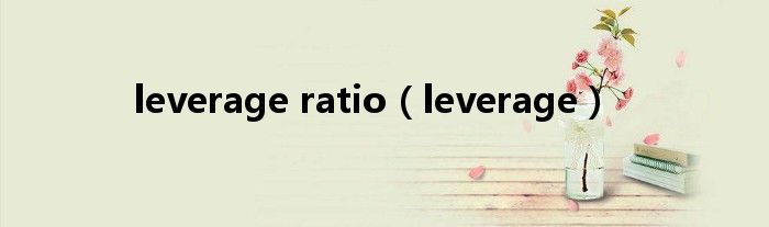 leverage ratio（leverage）