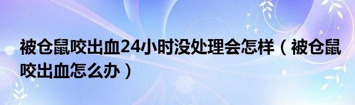 被倉鼠咬出血24小時沒處理會怎樣（被倉鼠咬出血怎么辦）