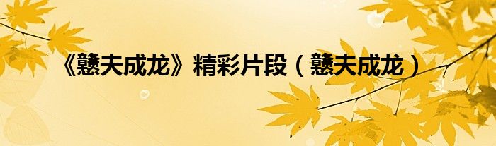 《戇夫成龍》精彩片段（戇夫成龍）