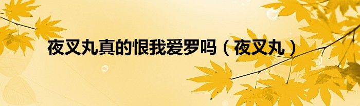 夜叉丸真的恨我愛羅嗎（夜叉丸）