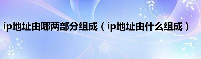 ip地址由哪兩部分組成（ip地址由什么組成）
