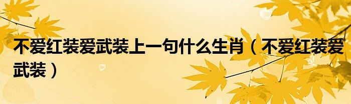 不愛紅裝愛武裝上一句什么生肖（不愛紅裝愛武裝）