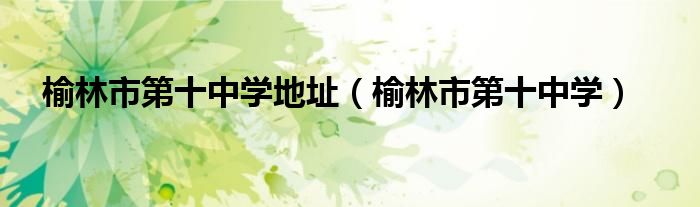 榆林市第十中學(xué)地址（榆林市第十中學(xué)）