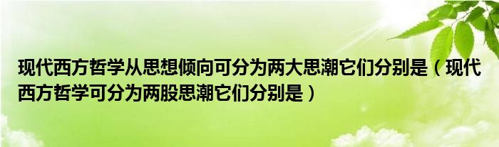 現(xiàn)代西方哲學(xué)從思想傾向可分為兩大思潮它們分別是（現(xiàn)代西方哲學(xué)可分為兩股思潮它們分別是）