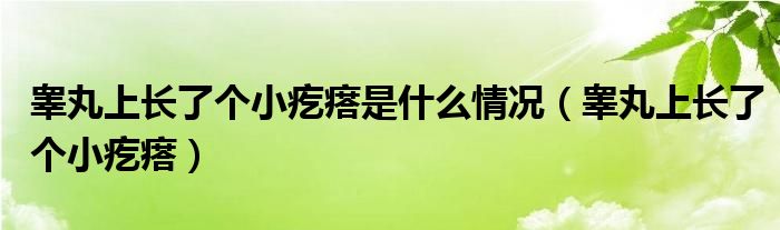 睪丸上長(zhǎng)了個(gè)小疙瘩是什么情況（睪丸上長(zhǎng)了個(gè)小疙瘩）