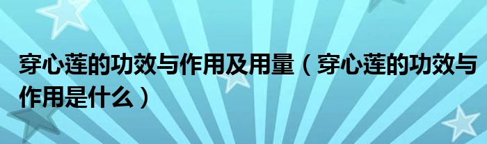 穿心蓮的功效與作用及用量（穿心蓮的功效與作用是什么）