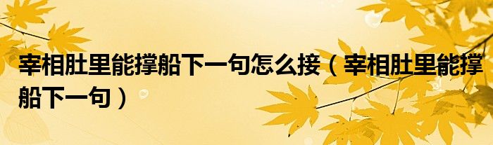 宰相肚里能撐船下一句怎么接（宰相肚里能撐船下一句）