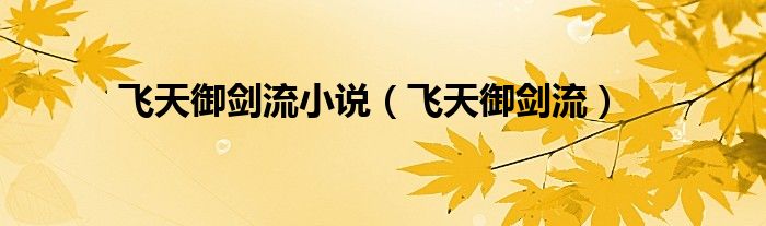 飛天御劍流小說(shuō)（飛天御劍流）