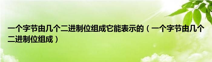 一個字節(jié)由幾個二進制位組成它能表示的（一個字節(jié)由幾個二進制位組成）