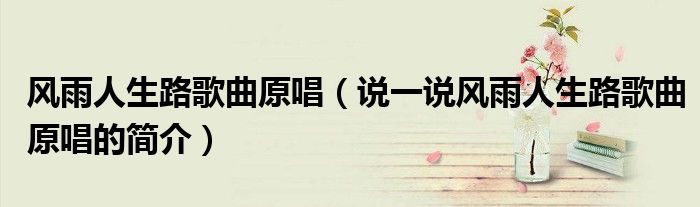 風(fēng)雨人生路歌曲原唱（說一說風(fēng)雨人生路歌曲原唱的簡介）