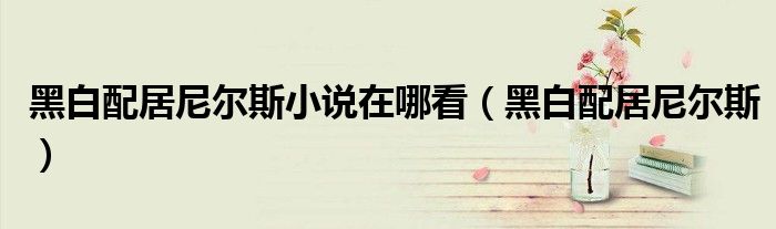 黑白配居尼爾斯小說在哪看（黑白配居尼爾斯）