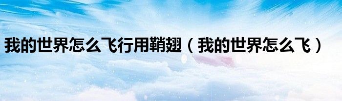 我的世界怎么飛行用鞘翅（我的世界怎么飛）