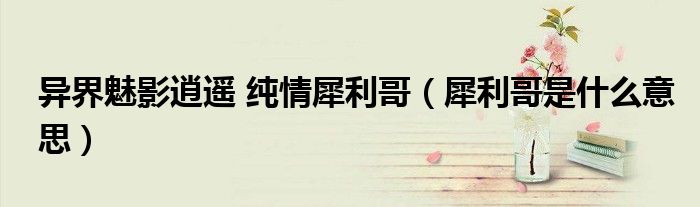 異界魅影逍遙 純情犀利哥（犀利哥是什么意思）