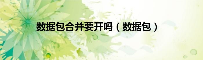 數(shù)據(jù)包合并要開嗎（數(shù)據(jù)包）